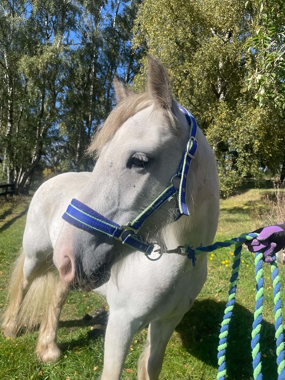 Headshot of Andorra (Dora)