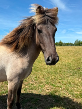 Headshot of Olina