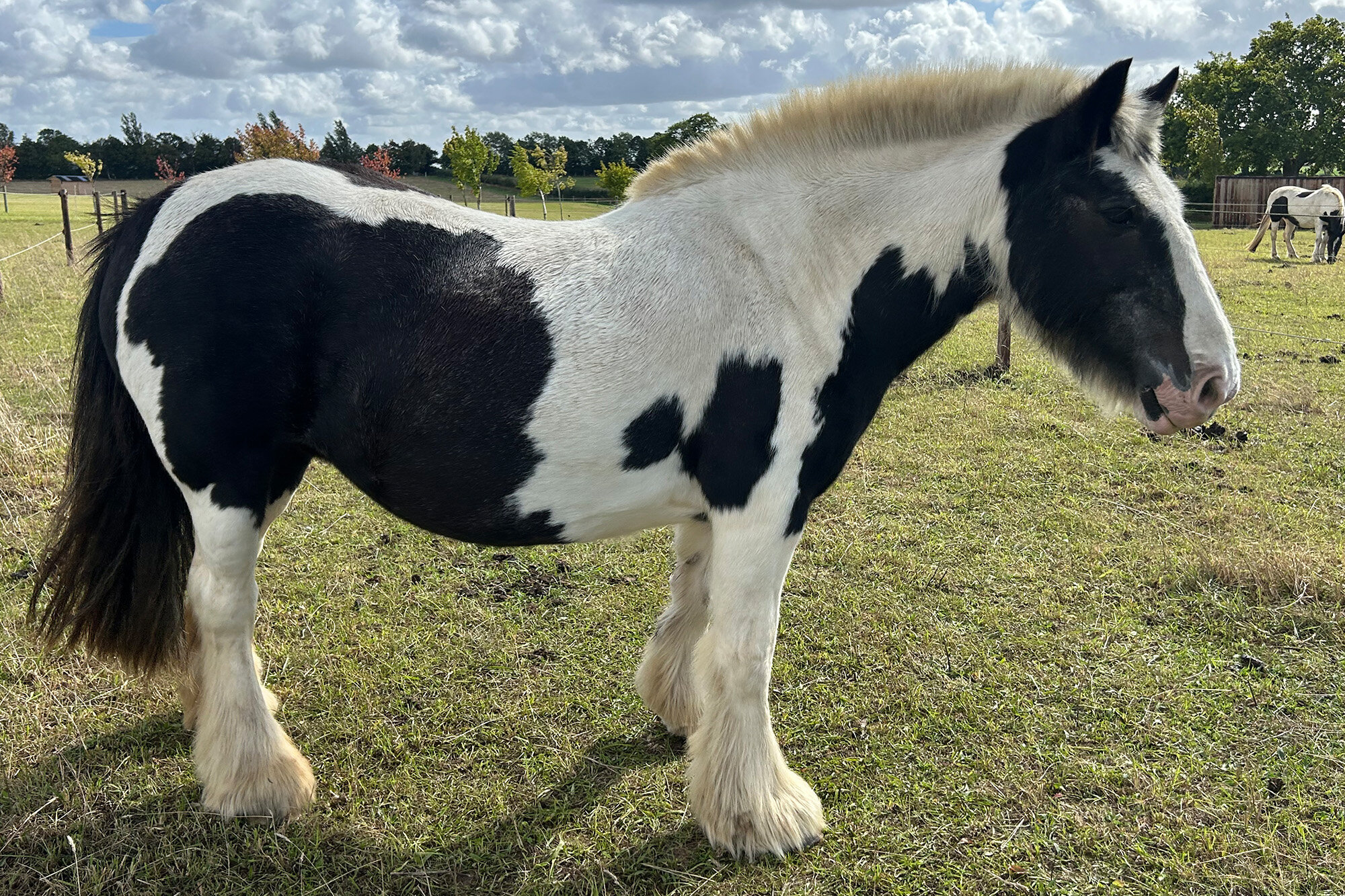 photo of Meggy