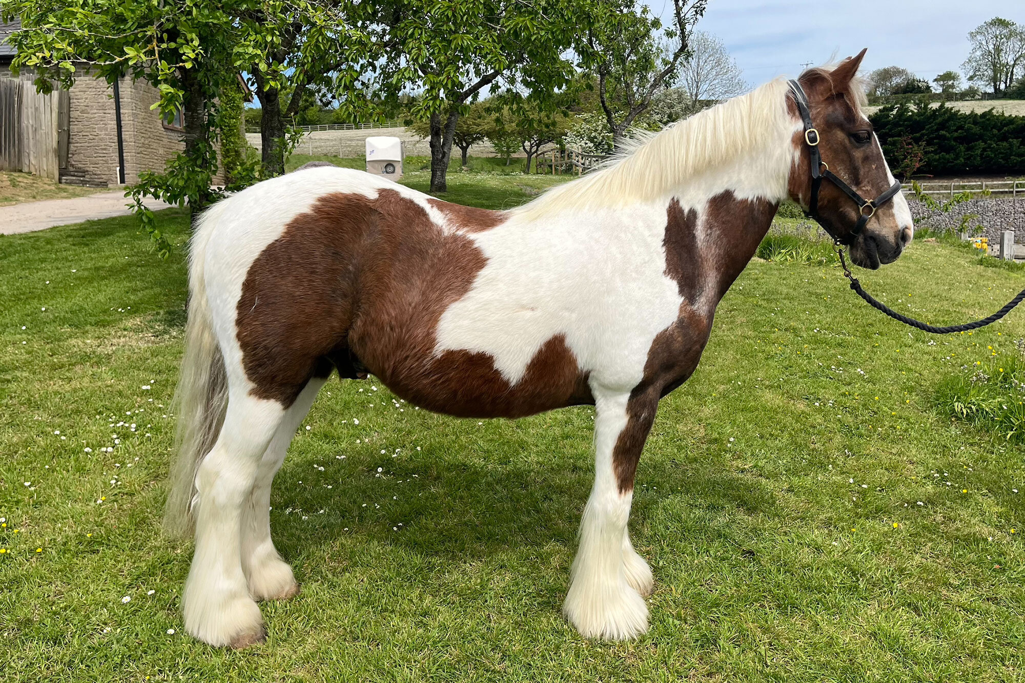 photo of Flicker Shorlands
