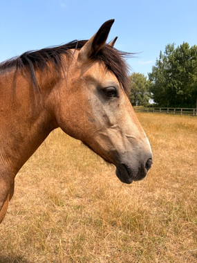 Headshot of High Glen Kishea