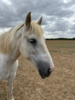 Headshot of Lady