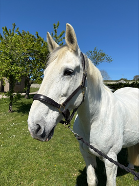 Headshot of Gretel (Nova)