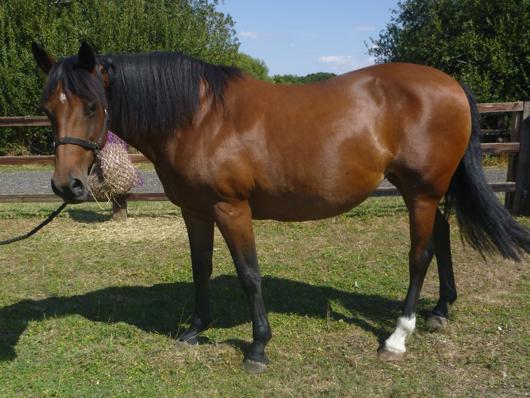 photo of Tilly