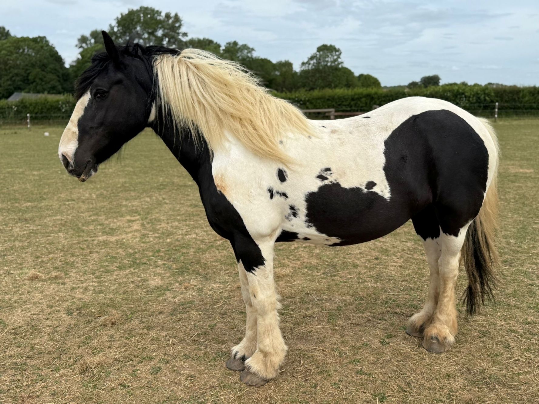 photo of Kizzy