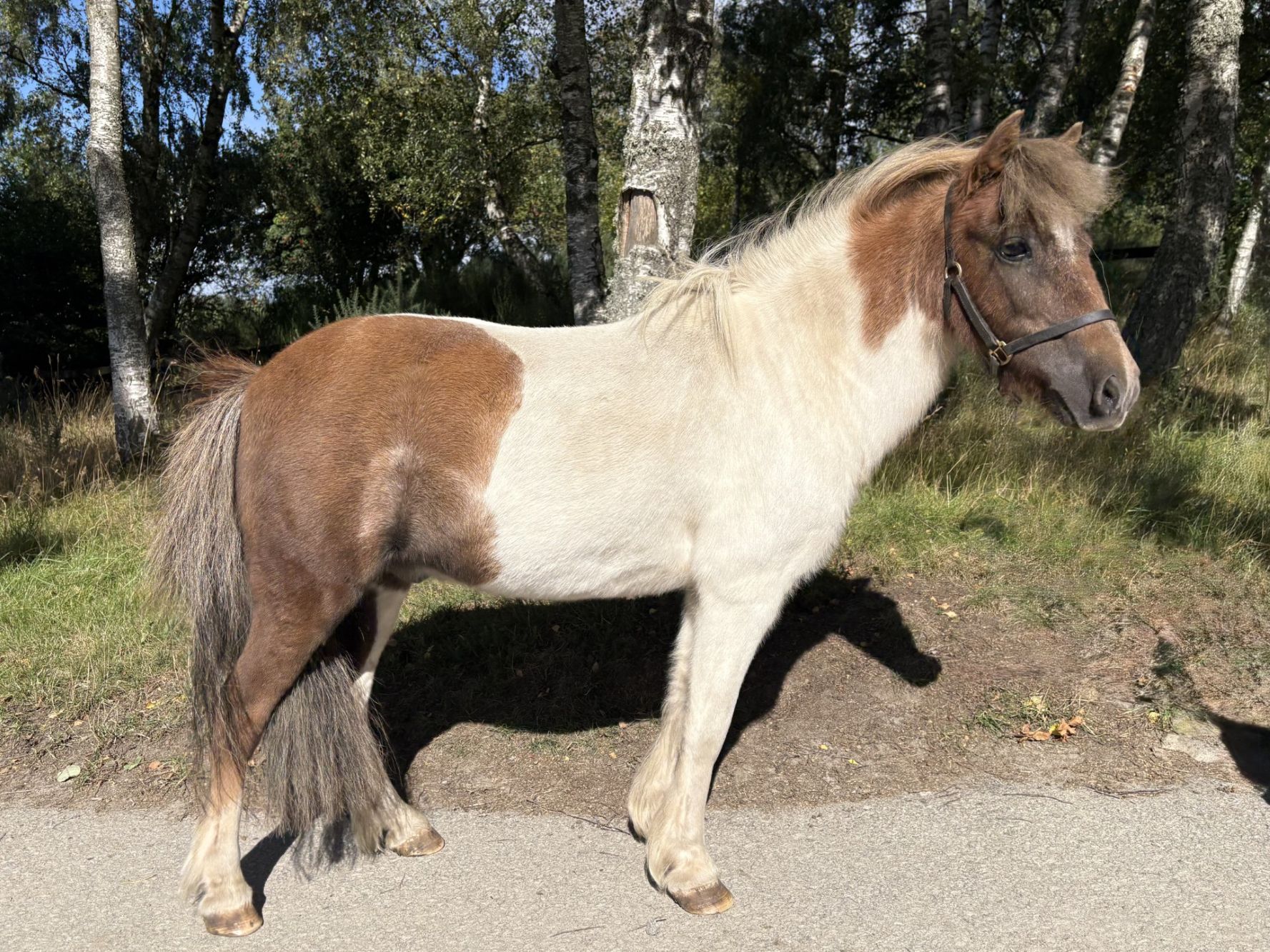 Additional image of William