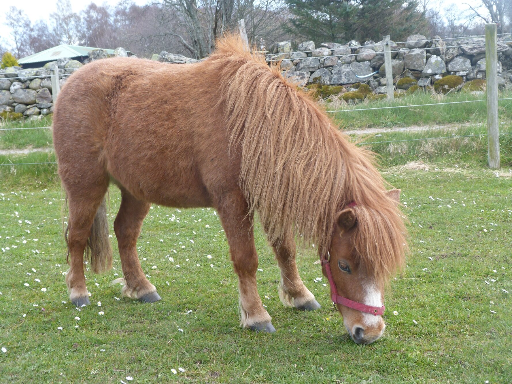 photo of Tanya
